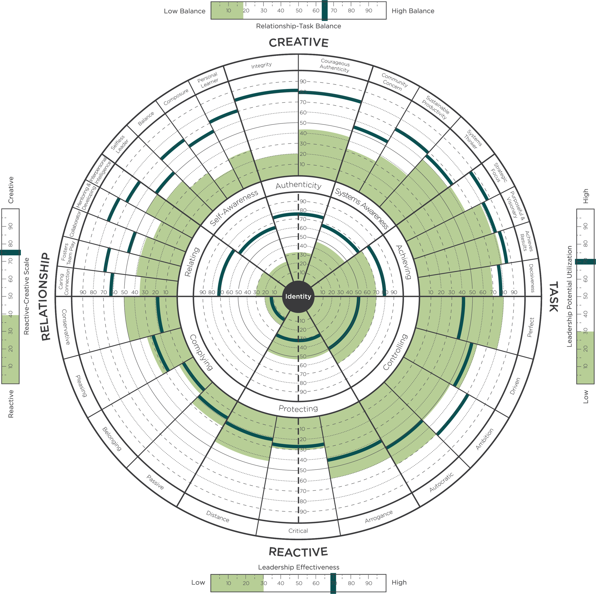 LCP 360 GRAPH Susan Johnson Full